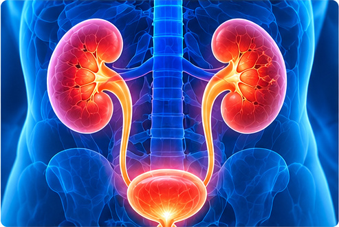 Endourology treatment for kidney and urinary conditions in Jaipur